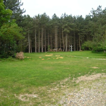 Briarwood Cottage Thorpe Market Dış mekan fotoğraf
